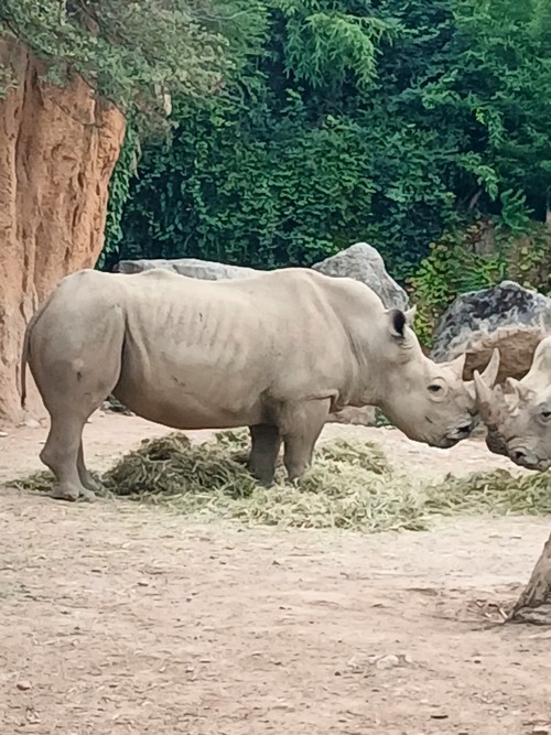 Biglietti parco Cornelle 