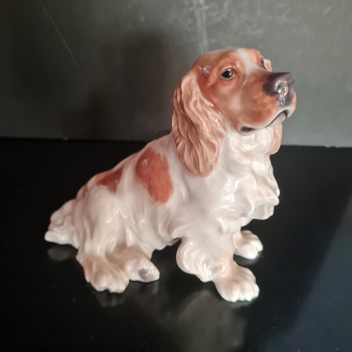 Cane  porcellana di Meissen  seduto con mantello m