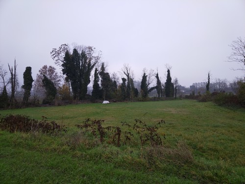 Terreno Agricolo