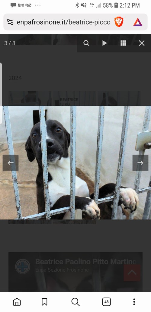 BEATRICE, 3 anni,  piccoletta molto dolce 