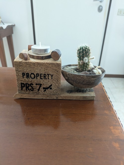 Porta candela/led con Pianta grassa 